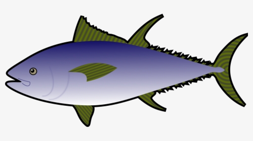 Tuna Fish Clipart, HD Png Download, Transparent PNG