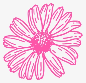Daisy Graphic Black And White, HD Png Download, Transparent PNG