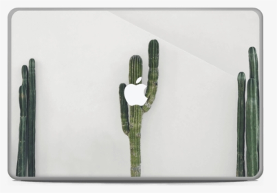 Mexican Cactus Skin Macbook Pro 17” - San Pedro Cactus, HD Png Download, Transparent PNG