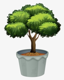 Tree Pot Plant Clipart, HD Png Download, Transparent PNG