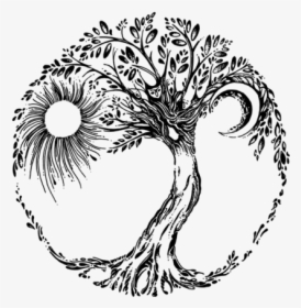 Tree Graphic - Line Art, HD Png Download, Transparent PNG