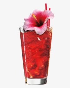 Passion Fruit And Hibiscus, HD Png Download, Transparent PNG