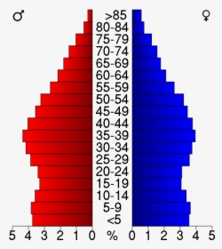 Population Pyramid For New Mexico Santa Fe, HD Png Download, Transparent PNG