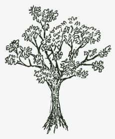 Hill Tree Png Black And White - Lost Hill Lake Events, Transparent Png, Transparent PNG