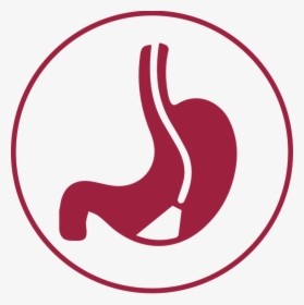 Rwj Endoscopy Icon, HD Png Download, Transparent PNG