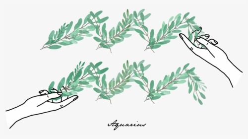 Aquarius, HD Png Download, Transparent PNG