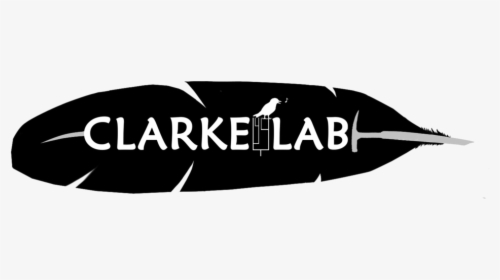 Clarkelab Logo Final - Boat, HD Png Download, Transparent PNG