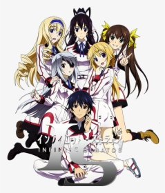 Is Infinite Stratos Anime Icon By Wasir525-d8p9qtv - Orimura Ichika X Charlotte Dunois, HD Png Download, Transparent PNG