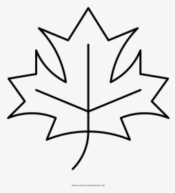 Colorings Maple Leaf - Portable Network Graphics, HD Png Download, Transparent PNG