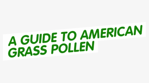 American Grass Pollen Allergy Guide From Zyrtec® - Musica De Avatar, HD Png Download, Transparent PNG