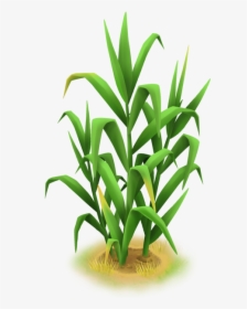 Hay Day Wiki - Grass, HD Png Download, Transparent PNG