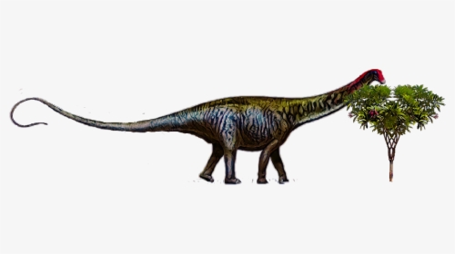 #dinosaur #brontosaurus - Brontosaurus Is Back, HD Png Download, Transparent PNG
