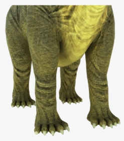 Brontosaurus Apatosaurus 3d Model - Terrestrial Animal, HD Png Download, Transparent PNG