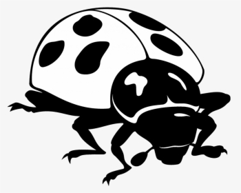 Ladybug Clipart - Трафарет Божь Каровка, HD Png Download, Transparent PNG