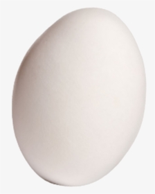 Domestic Goose Egg - Circle, HD Png Download, Transparent PNG