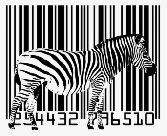 Tener En Cuenta El Tamaño Para No Perder Nuestro Código - Zebra Barcode, HD Png Download, Transparent PNG