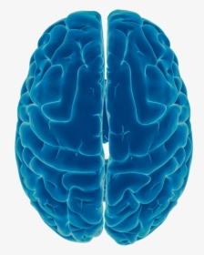 Medical, HD Png Download, Transparent PNG