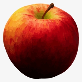 Realistic Apple Clipart Png - Fruit Apple Png, Transparent Png, Transparent PNG
