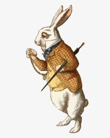 Alice In Wonderland White Rabbit Png - White Rabbit Alice In Wonderland Book, Transparent Png, Transparent PNG