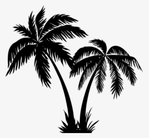 Palms Silhouette Clip Art Png Image - Coconut Tree Clipart Black And White, Transparent Png, Transparent PNG