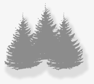 In The Woods Events - Pine Trees Clip Art, HD Png Download, Transparent PNG