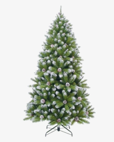 Christmas Tree Green Frosted, - Empress Spruce Frosted With Cones, HD Png Download, Transparent PNG