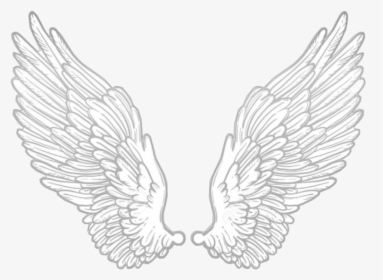 #wing #wings #angel #anglewings #white #alone #cute, HD Png Download, Transparent PNG