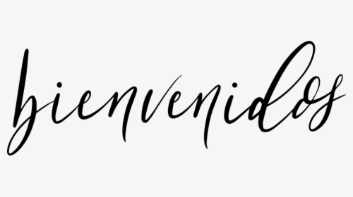 Bienvenidos - Calligraphy, HD Png Download , Transparent Png Image ...