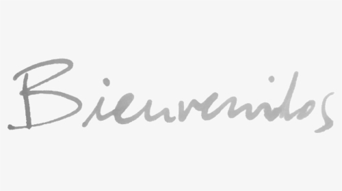 Bienvenidos - Calligraphy, HD Png Download, Transparent PNG