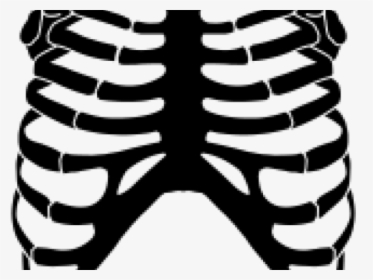 Rib Cage Png Transparent Images - Skeleton Rib Cage Clipart, Png Download, Transparent PNG