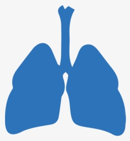 Lungs Png - Svg Respiratory System Png, Transparent Png, Transparent PNG