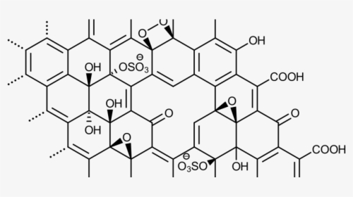 Graphene Oxide - Kaempferol 3 Glucoside, HD Png Download, Transparent PNG