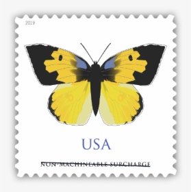 California Dogface Butterfly Stamp, HD Png Download, Transparent PNG