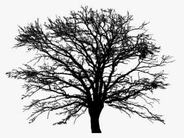 Baum Png Dunkel, Transparent Png, Transparent PNG