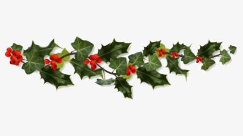 Holly Border Png - Transparent Christmas Holly Png, Png Download, Transparent PNG