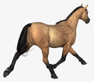 Transparent Stallion Clipart - 3d Horse Png, Png Download, Transparent PNG