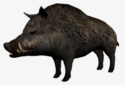 Red Dead Wiki - Red Dead Redemption Animals, HD Png Download, Transparent PNG