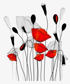 Common Poppy Curtain Flower Wallpaper Line Illustration - Curtain, HD Png Download, Transparent PNG