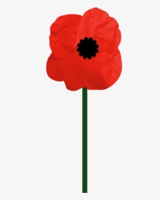 Poppy, HD Png Download, Transparent PNG