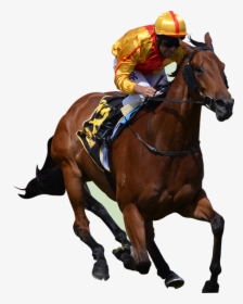 Race Horse Png - Horse Racing Png, Transparent Png, Transparent PNG