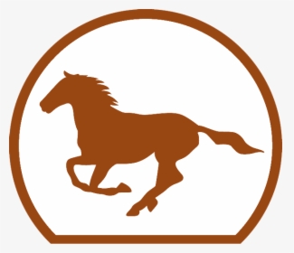 Winner - Horse - National Horseracing Authority, HD Png Download, Transparent PNG