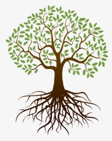 Plant-stem - Tree With Roots Clipart Free, HD Png Download, Transparent PNG