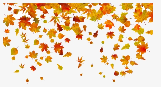 Fall Border Free Clipart With Transparent Background - Fall Leaves Transparent Background, HD Png Download, Transparent PNG