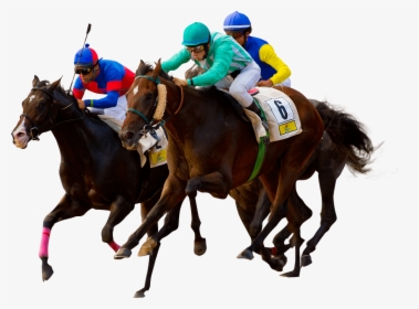 Horse - Horse Racing - Flat Racing, HD Png Download, Transparent PNG