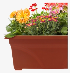 Pots Of Plants Png , Png Download - Flower Pots Images Png, Transparent Png, Transparent PNG