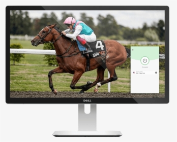 Watch Horse Racing Live On Any Device With Expressvpn - Enable Racehorse, HD Png Download, Transparent PNG