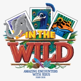 4c Master English - Im The Wild Vbs, HD Png Download, Transparent PNG