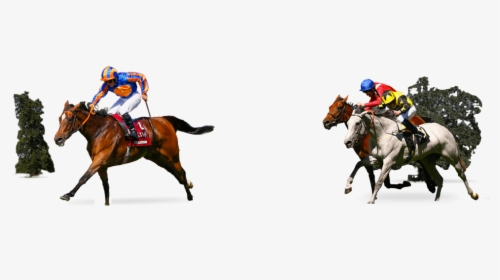 Horses Running In A Race - Steeplechase, HD Png Download, Transparent PNG