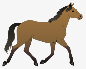 Garanhão de rein hipismo Mustang de rodeio, CAVALOS, cavalo, vaqueiro png