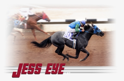 Transparent Race Horse Png - Flat Racing, Png Download, Transparent PNG